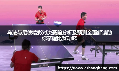 V体育-VSport官网
