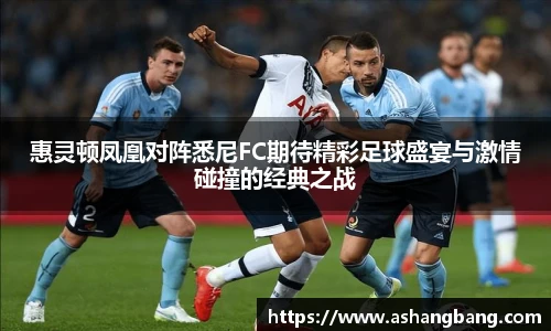 Vsport 体育惠灵顿凤凰对阵悉尼FC期待精彩足球盛宴与激情碰撞的经典之战